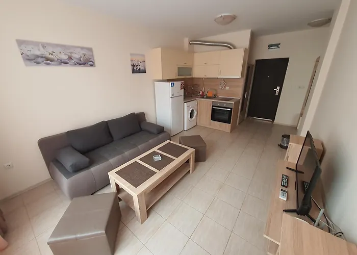 таня 10 帕莫瑞