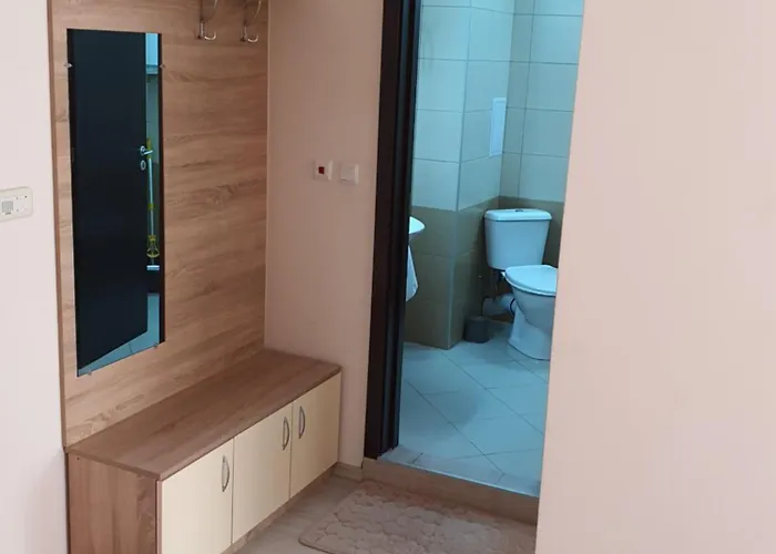 Apartment таня 10